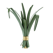 Wall Sconce Hortus Lemongrass Leaves BRONZETTO