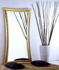 Mirror MO.WA PROT