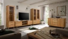 Designer living rooms