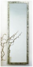 Mirror 60x180 SPINI 20248