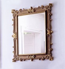 Mirror SPINI 19605