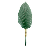 Wall Sconce Hortus Heliconia Leaf BRONZETTO